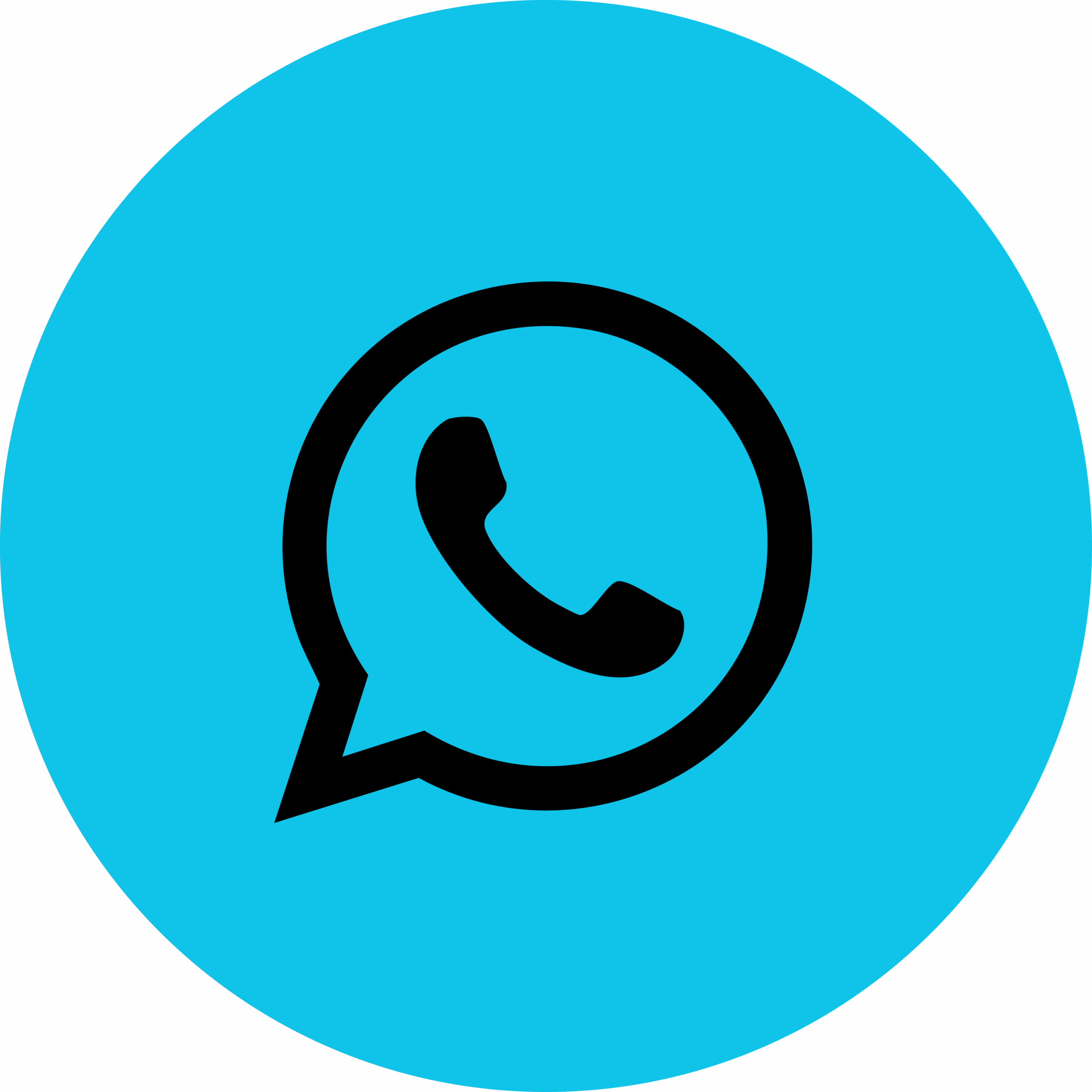 Whatsapp Icon